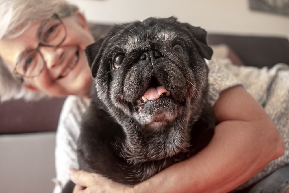 A smiling woman lovingly hugs her senior black pug, both showing warmth and companionship - North Scottsdale Vet.
