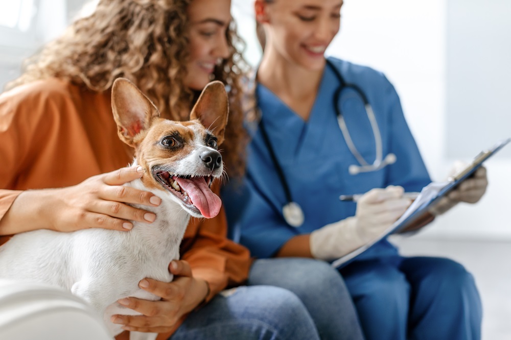 A happy dog sits on its owner's lap during a vet visit, while a veterinarian in blue scrubs reviews a clipboard - Luxe Vet