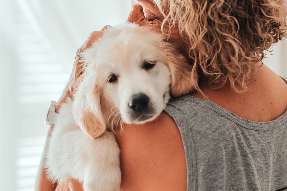 A young puppy rests on its owner’s shoulder, enjoying a warm embrace in a loving home - North Scottsdale Vet.