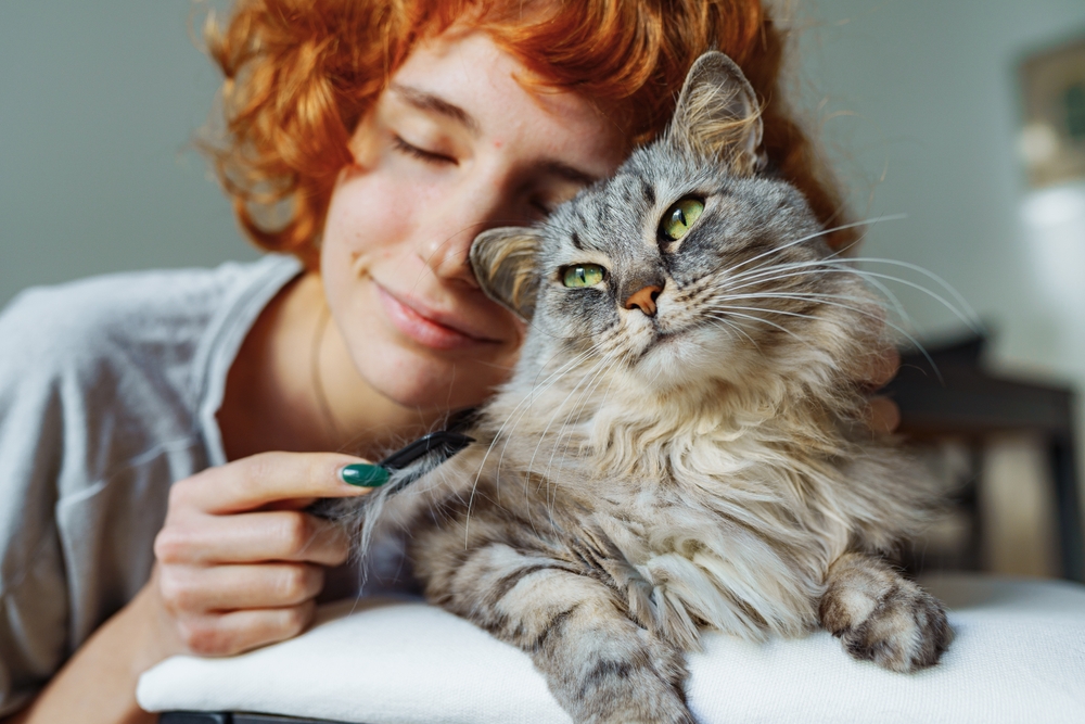 A woman with red hair smiles and cuddles her fluffy gray cat, sharing a moment of affection - North Scottsdale Vet.